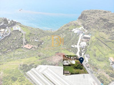 /international/pt/ribeira-brava-madeira-310096552979/