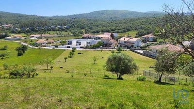 /international/pt/porto-de-mos-leiria-310098879497/