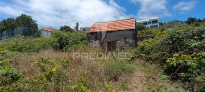 /international/pt/gaula-santa-cruz-madeira-120093589555/