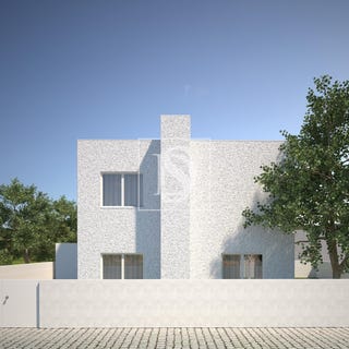 /international/pt/palmeira-braga-310101283102/?lang=en