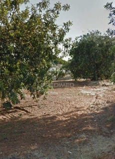 /international/pt/quarteira-loule-faro-310106105332/