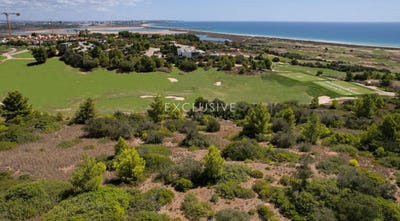 /international/pt/faro-faro-310104113835/