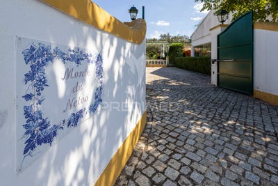 /international/pt/n-s-da-vila-n-s-do-bispo-e-silveiras-montemor-o-novo-evora-310103459469/
