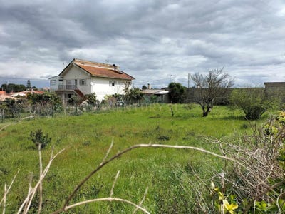 /international/pt/rua-jose-henriques-barata-15-vale-da-pedra-portugal-vale-da-pedra-santarem-310108670641/