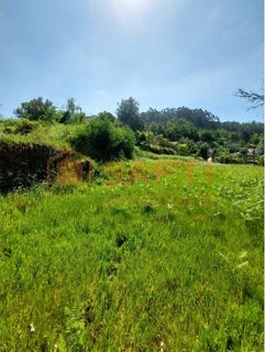 /international/pt/sabadim-viana-do-castelo-310100485033/