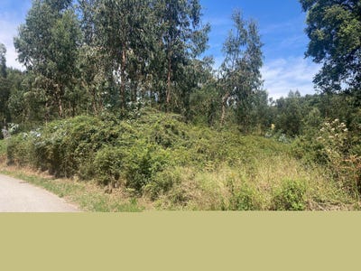 /international/pt/virela-valongo-braganca-310093874583/