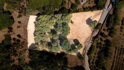 /international/pt/bombarral-leiria-310102037731/