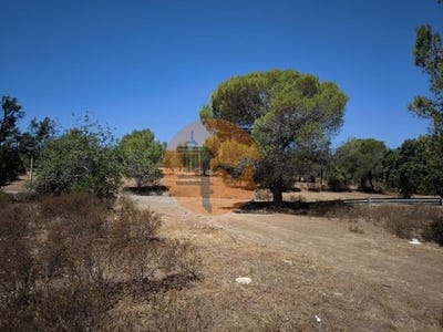 /international/pt/rio-seco-castro-marim-faro-120093628733/