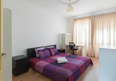 /international/pt/rua-conego-ferreira-pinto-porto-braga-310099549652/