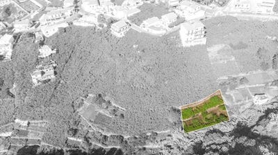 /international/pt/estreito-camara-de-lobos-madeira-310103536525/