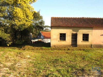 /international/pt/santarem-santarem-120090377730/
