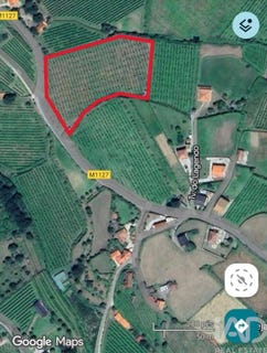 /international/pt/viana-do-castelo-viana-do-castelo-310105069824/
