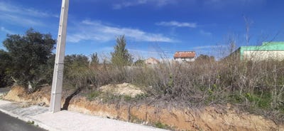 /international/pt/santo-antonio-dos-cavaleiros-e-frielas-lisbon-310095059733/
