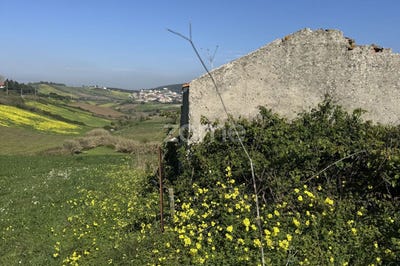 /international/pt/mafra-lisbon-310107766202/
