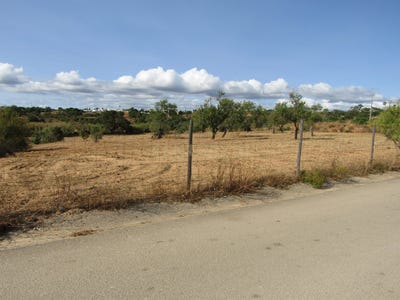 /international/pt/vale-da-areia-guia-leiria-310105187547/