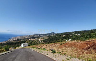 /international/pt/ilha-da-madeira-madeira-310098102229/