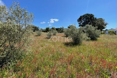 /international/pt/grandola-setubal-municipality-310107968042/