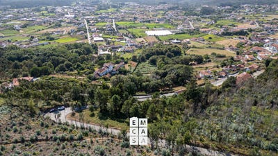/international/pt/albergaria-a-velha-aveiro-310107524124/