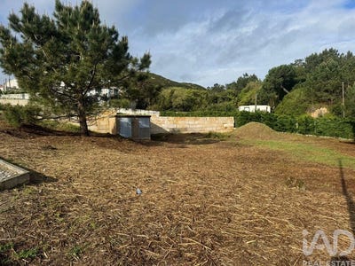 /international/pt/leiria-leiria-310106414251/