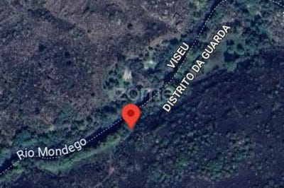 /international/pt/mangualde-viseu-310101015103/