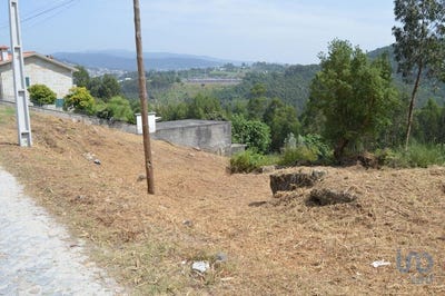 /international/pt/porto-braga-310096028650/