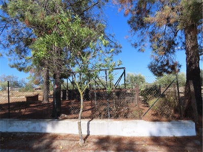 /international/pt/idanha-a-nova-castelo-branco-310096028029/?lang=zh-tw