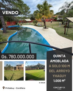 /international/py/piribebuy-piribebuy-cordillera-department-310105966435/