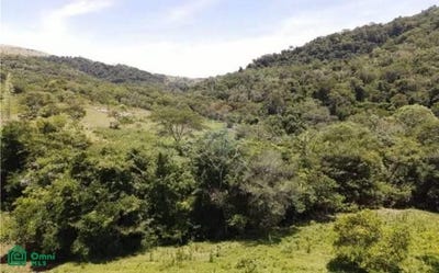 /international/py/atyra-s-n-atyra-cordillera-atyra-cordillera-department-310108458490/