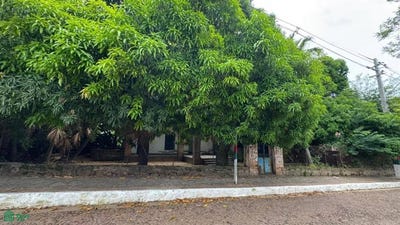 /international/py/avda-de-la-candelaria-esquina-mariscal-estigarribia-s-n-aregua-central-aregua-central-department-310106715253/