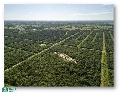 /international/py/cruce-esmeralda-manzana-33-lote-4-industria-liviana-s-n-filadelfia-boqueron-filadelfia-boqueron-department-310108186076/