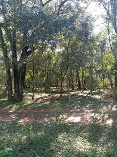 /international/py/calle-1-altos-cordillera-altos-cordillera-department-310100758846/?lang=id