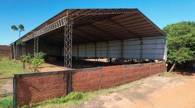 /international/py/maria-auxiliadora-s-n-doctor-j-eulogio-estigarribia-caaguazu-3400-caaguazu-310105940948/