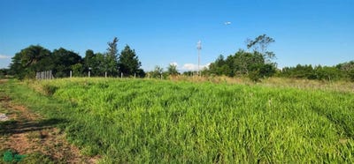 /international/py/urbanizacion-surubi-i-calle-el-trebol-s-n-mariano-roque-alonso-central-mariano-roque-alonso-central-department-310107272290/