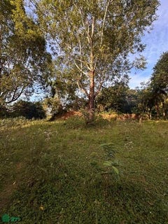 /international/py/calle-ramal-zayas-50-mts-de-karimer-s-n-yaguaron-paraguari-yaguaron-paraguari-310108326635/