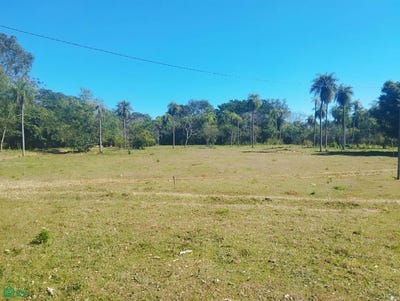 /international/py/ita-yvu-guasu-012345-caacupe-cordillera-caacupe-cordillera-department-310101181962/?lang=zh-tw