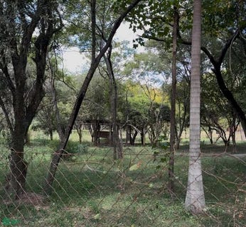 /international/py/espinillo-surubi-i-s-n-las-mercedes-asuncion-310101247539/?lang=it