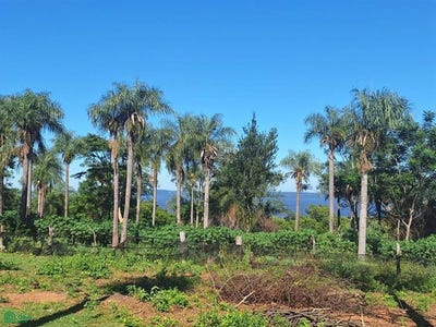 /international/py/matiauda-san-bernardino-cordillera-san-bernardino-cordillera-department-310101058140/?lang=it