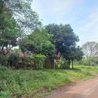 /international/py/san-juan-del-parana-s-n-san-juan-del-parana-itapua-san-juan-del-parana-itapua-department-310107238594/