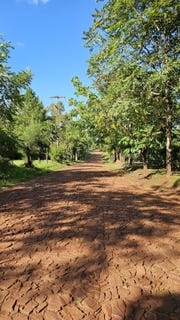/international/py/unnamed-road-hohenau-itapua-department-310105205760/