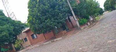 /international/py/jovenes-de-la-democracia-y-nanawa-barrio-la-azotea-manzana-06-lote-22-sn-san-juan-del-parana-itapua-san-juan-del-parana-itapua-department-310108288928/