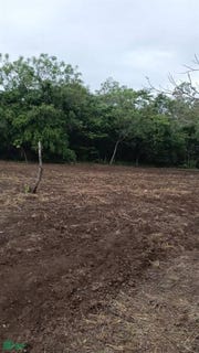 /international/py/la-azotea-s-n-encarnacion-itapua-encarnacion-itapua-department-310108527321/
