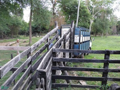 /international/py/pasando-el-peaje-de-nueva-londres-500-mts-se-entra-16-km-del-asfalto-s-n-nueva-londres-caaguazu-caaguazu-310107589658/