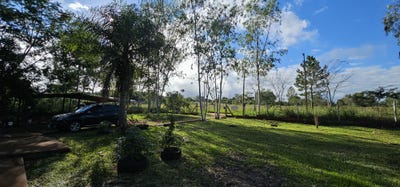 /international/py/san-jose-hohenau-itapua-department-310107617683/