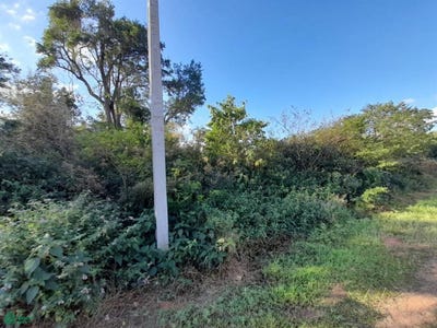 /international/py/jardines-del-lago-ii-san-bernardino-cordillera-san-bernardino-cordillera-department-310093206032/