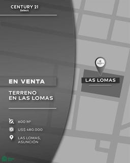 /international/py/prof-manuel-riquelme-entre-herib-campos-cervera-y-papa-juan-xiii-1-945-las-lomas-asuncion-310101206891/