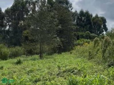 /international/py/a-1-cuadra-de-la-escuela-arandura-y-600-m-de-la-ruta-6-s-n-bella-vista-itapua-bella-vista-itapua-department-310108421995/
