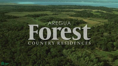 /international/py/aregua-forest-mariscal-francisco-solano-lopez-s-n-aregua-central-aregua-central-department-310107670605/