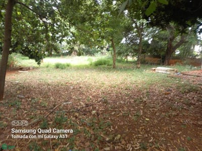 /international/py/avenida-las-residentas-aregua-central-aregua-central-department-310095968855/?lang=zh-tw