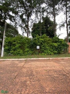 /international/py/felix-perez-cardozo-c-fotografos-del-chaco-luque-central-luque-central-department-310093206748/?lang=zh-tw
