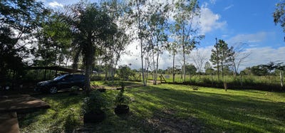 /international/py/san-jose-hohenau-itapua-department-310104983179/